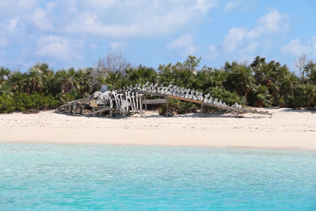 Exuma Land And Sea Park