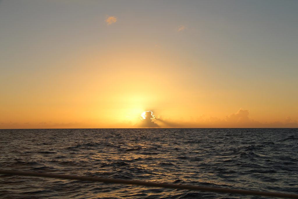 Soaring Eagles Sailing Old Bahama Bay Golden Sunset
